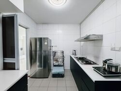 Blk 1E The Pinnacle@Duxton (Bukit Merah), HDB 4 Rooms #602751211